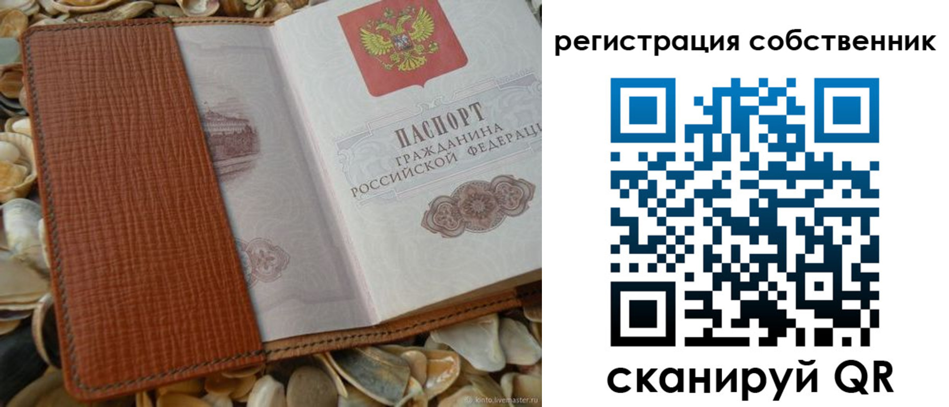 временная регистрация для школы в Рязанской области